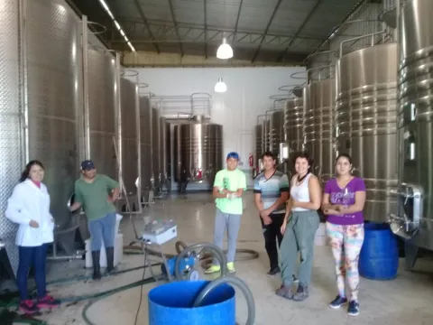 Prácticas en bodegas