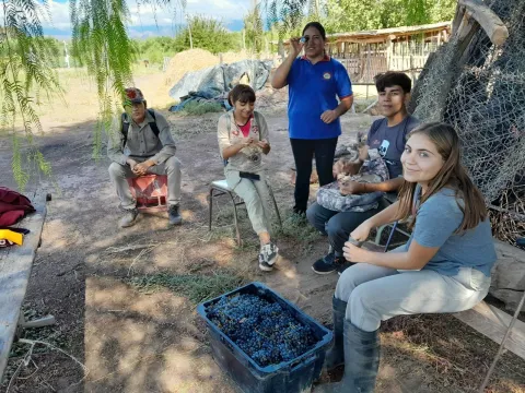 Winemaking trial with the Agricultural School