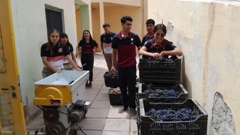 Winemaking trial with the Agricultural School