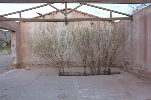 Sala en ruinas de la bodega Pisetta