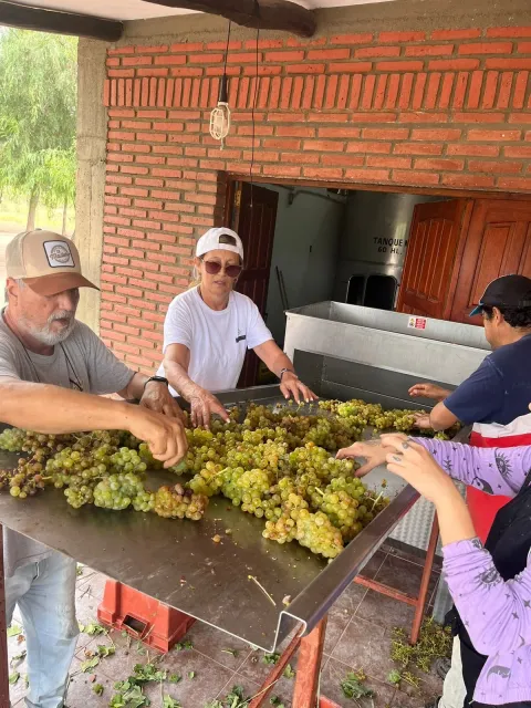 Rodríguez Ferrero