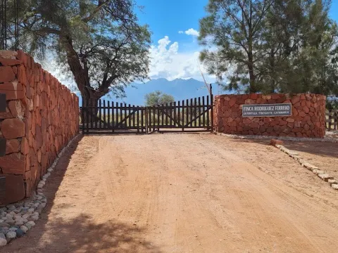 Rodríguez Ferrero
