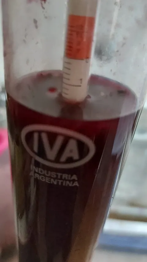 Winemaking trial with the Agricultural School