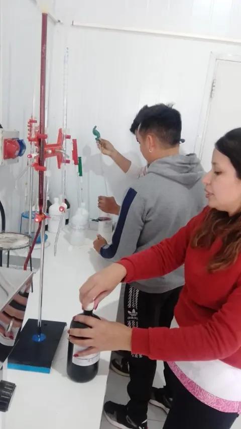 Winemaking trial with the Agricultural School