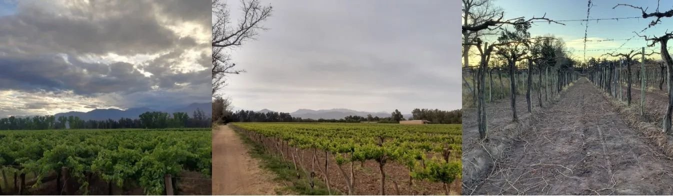 Tierra de Volcanes