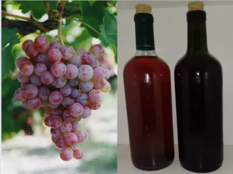 Vino para consumo propio