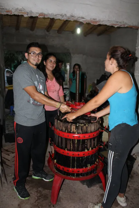 Ensayos de elaboración