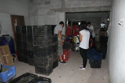 Ensayos de elaboración