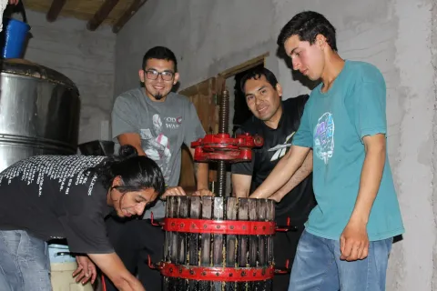 Ensayos de elaboración