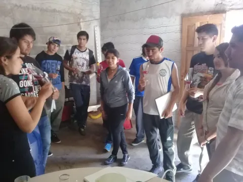 Prácticas en bodegas