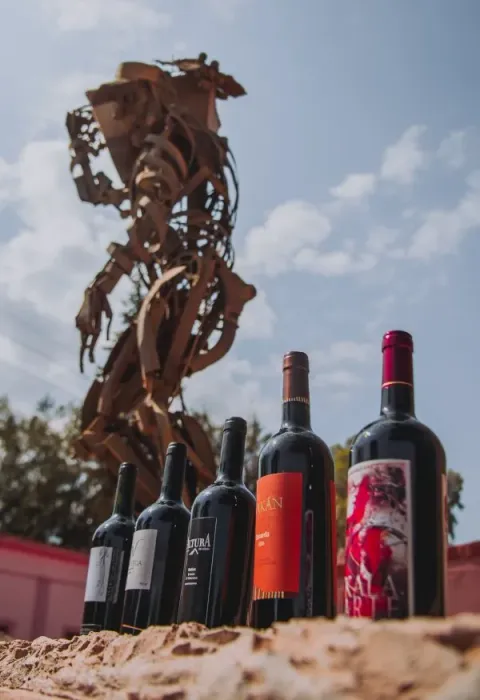 ¿Por qué Tinogasta es vino?