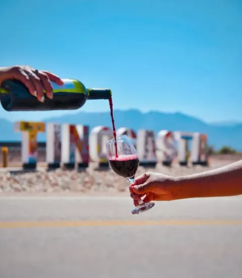 ¿Por qué Tinogasta es vino?
